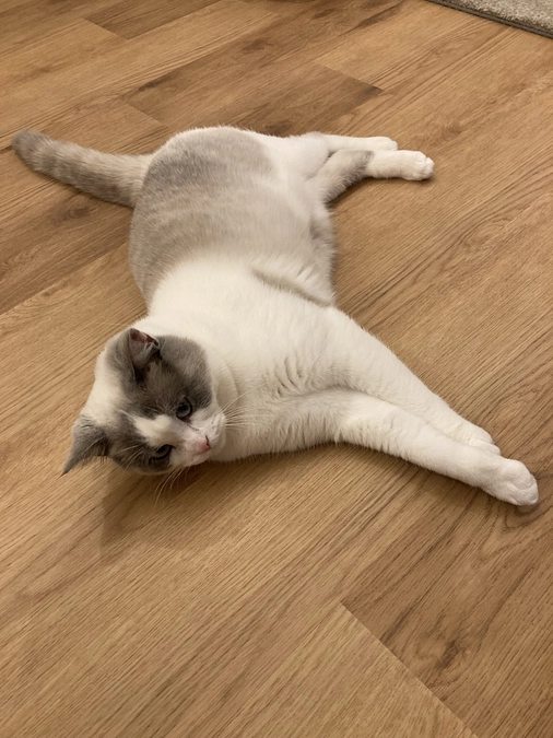 ご報告です！無事に寛解しました。