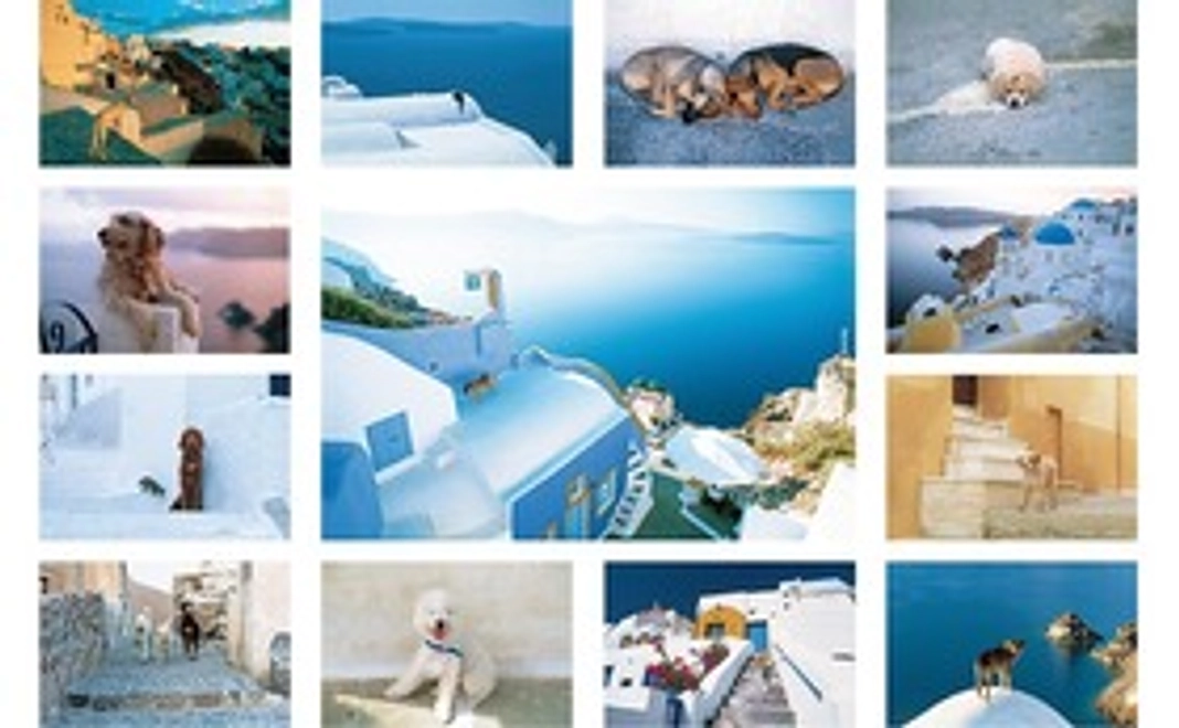私のオリジナルポストカード（2）13枚　『Aegean Dog』エーゲ海の犬たちです。