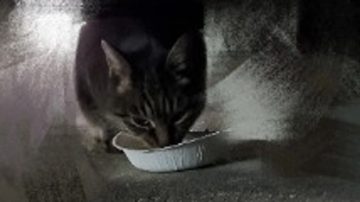 2/11 今日も風が冷たく寒い1日でした。