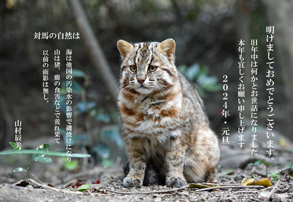 新年明けましておめでとうございます。