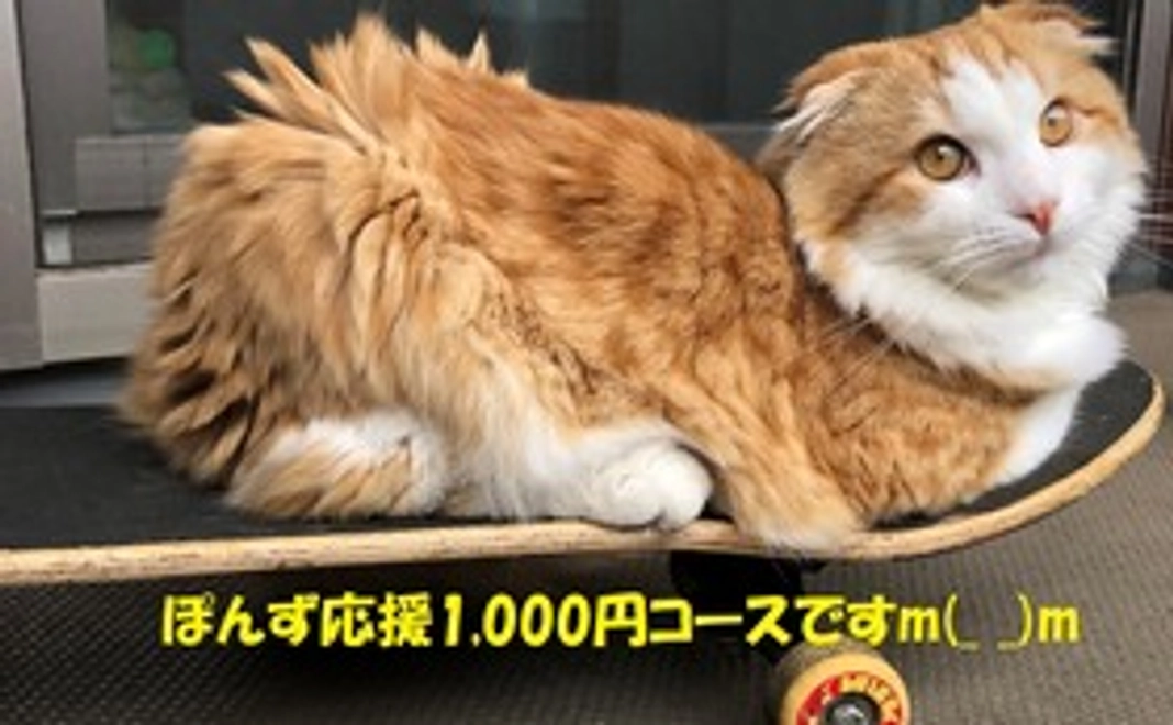 「ぽんず」応援支援1000円