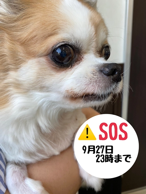 8月24日  現状報告