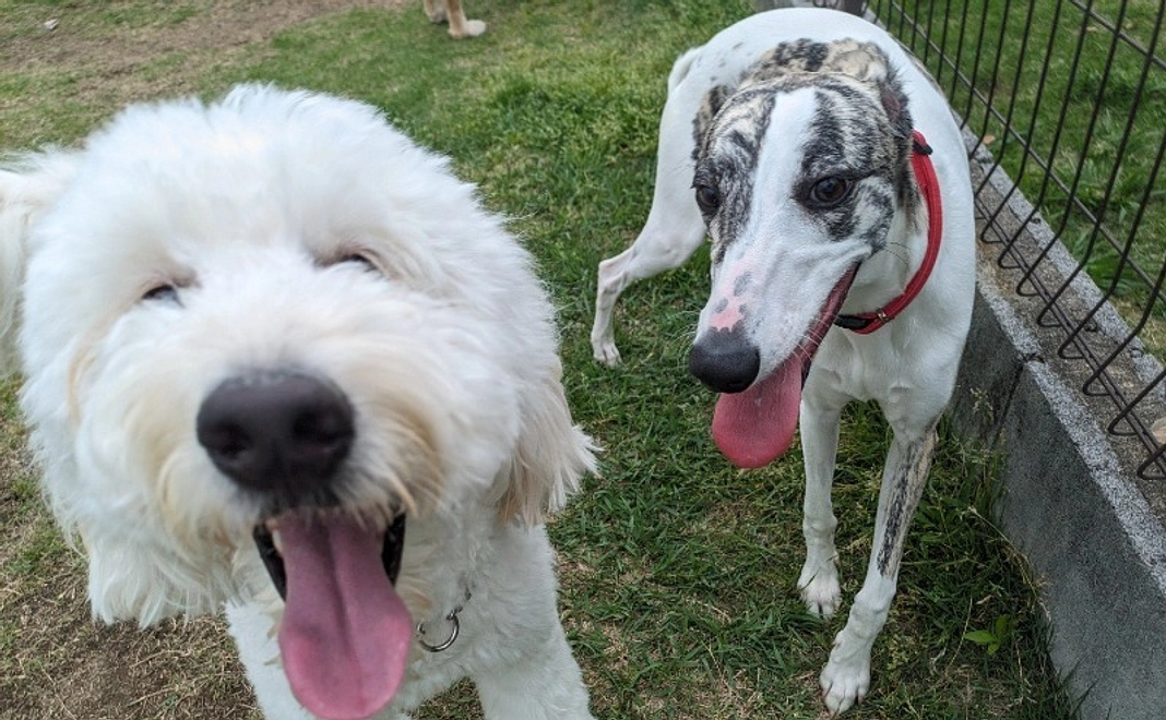 【特別なリターン不要】全力応援コース｜1万円