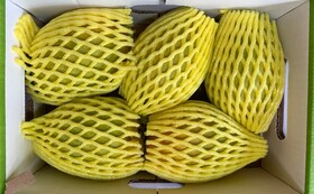 インド産マンゴー4個～6個入り（約1.4キロ）小箱