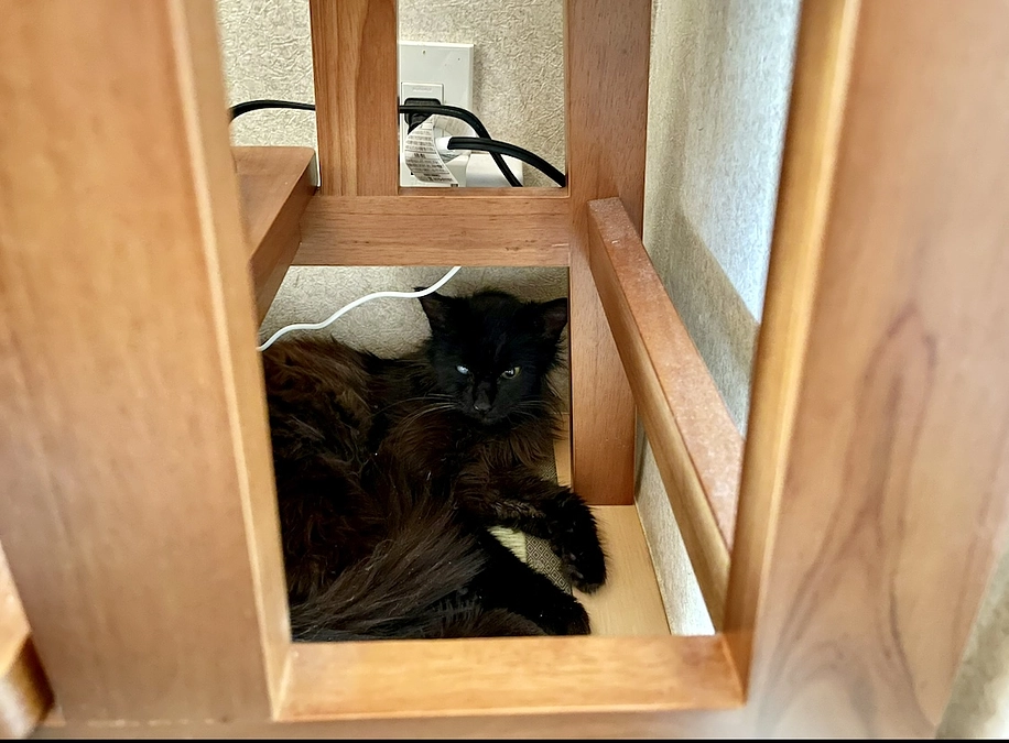 6/22　ハルくんの成長について（3月、4月、6月）