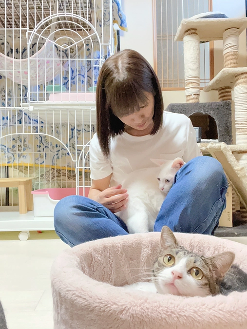 ７０％到達有難うございます！　ボランティアメッセージリレーです🐱