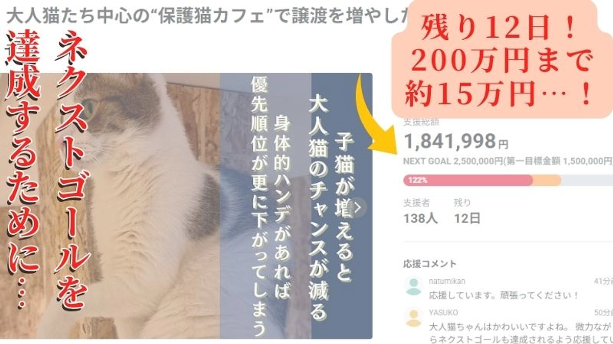 【感謝とお願い】200万円通過まであと16万円…3月14日で全てが終わる！