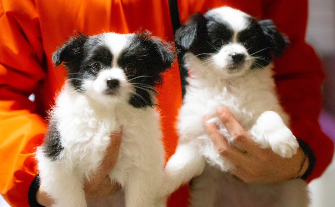 お礼のメール①