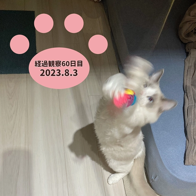 経過観察60日目(2023.8.3)