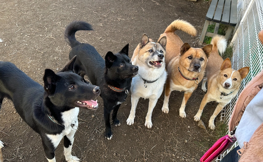 毎月1000円コース