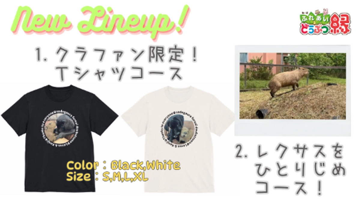 リターン追加！クラファン限定Tシャツコースとレクサスひとりじめコース！