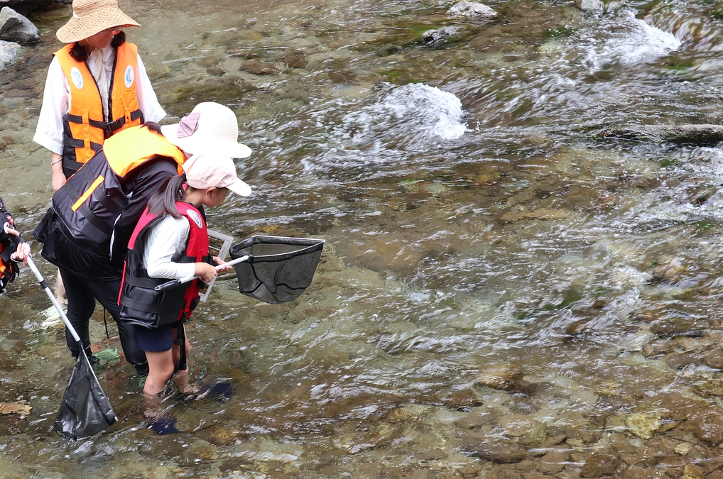 ８月の野外体験実習も、無事終了しました！【共生科学センター】