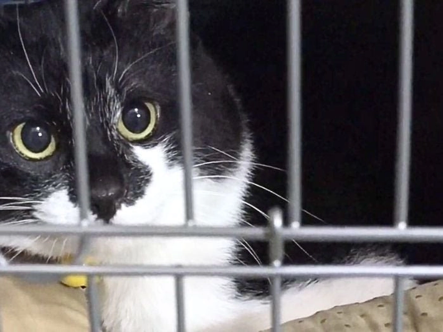 ずっと一緒にいたいのに。