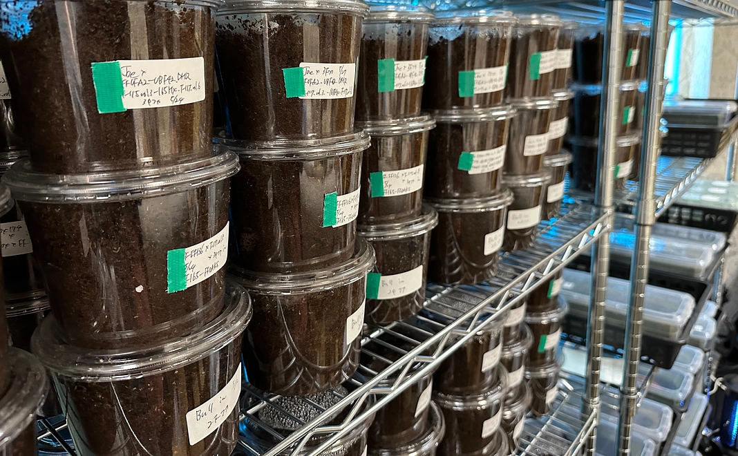 飼育施設の見学コースA (お子様限定)