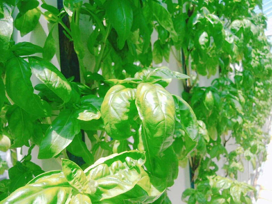 ！！！！READYFOR目標金額達成！！！！