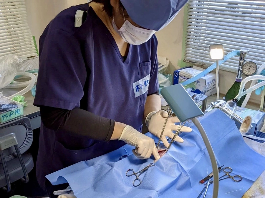 関わってくださったすべての皆様に感謝