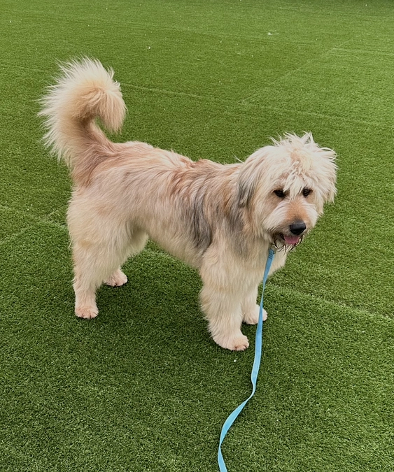 トライアル出発