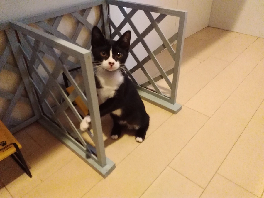 元気に育っています