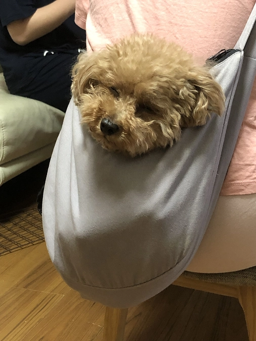 スリング大好き！