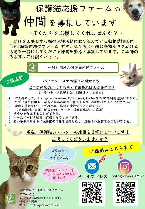 【活動報告】保護猫応援ファームのチームメンバー募集について