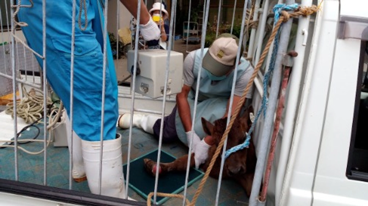 僕の界隈がちょっと諦め雰囲気になってきてますが