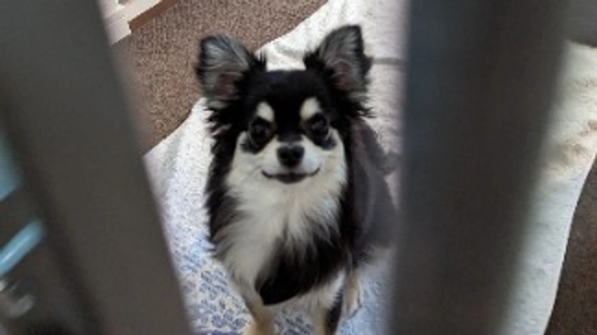 今日からよろしくお願いします！