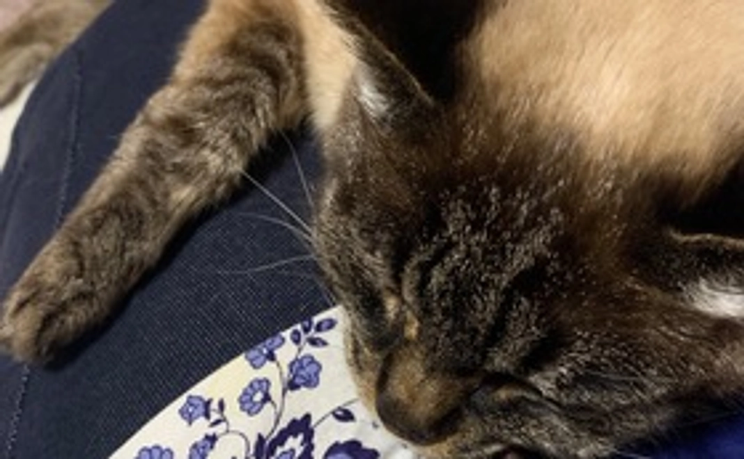 感謝のメール　写真を１枚添付します