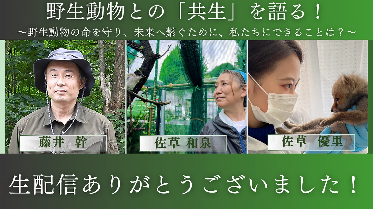 【YouTube生配信御礼】日本鳥類保護連盟 藤井さんとの対談ありがとうございました！