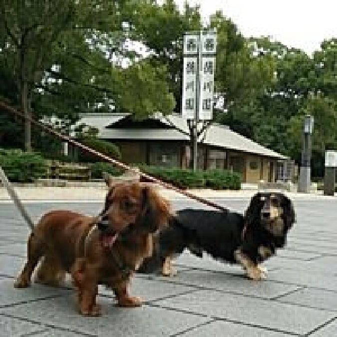 目が見えないながらも毎日穏やかに過ごしています