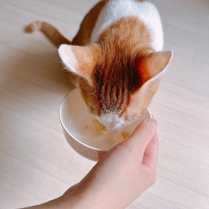 今日も上手にお薬を飲んでくれました！