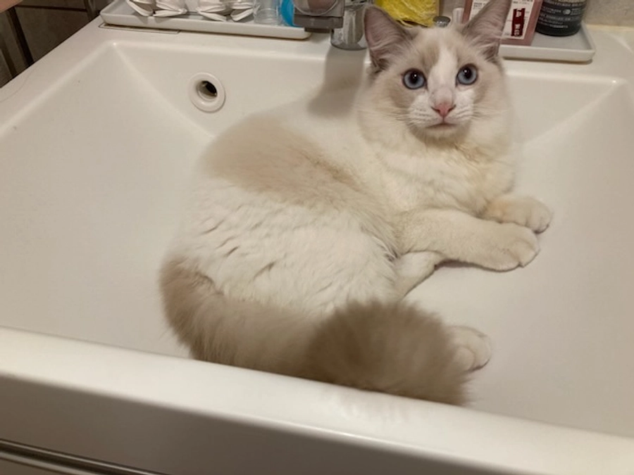 投薬３３日目(2023.4.14)