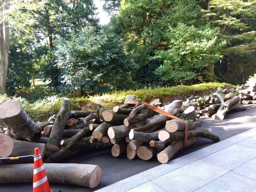 改修工事、順調です！