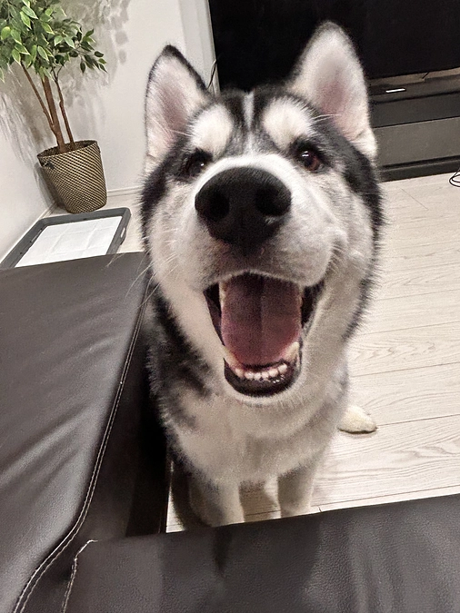 後22日ですっ！！