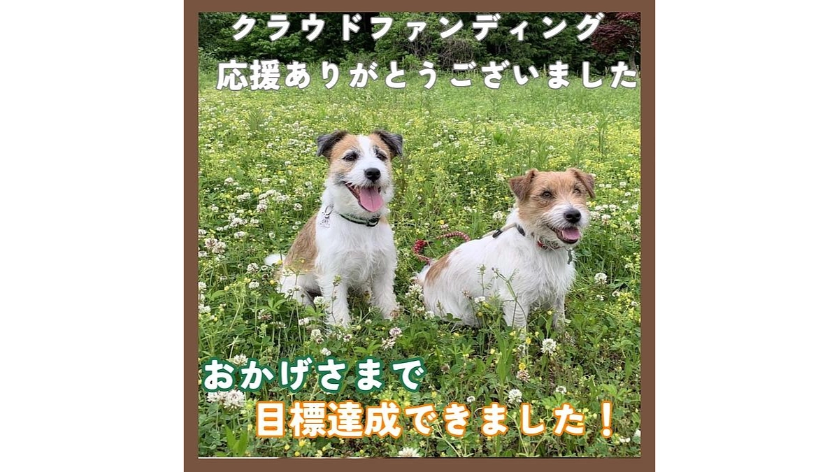 【ワンズ・ラフのストーリー⑮：春が来たら】