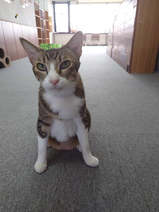 寒くなってきましたね