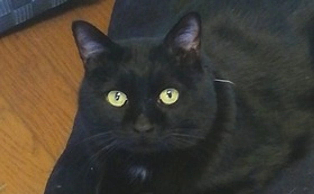 ゆめちゃんを応援！①