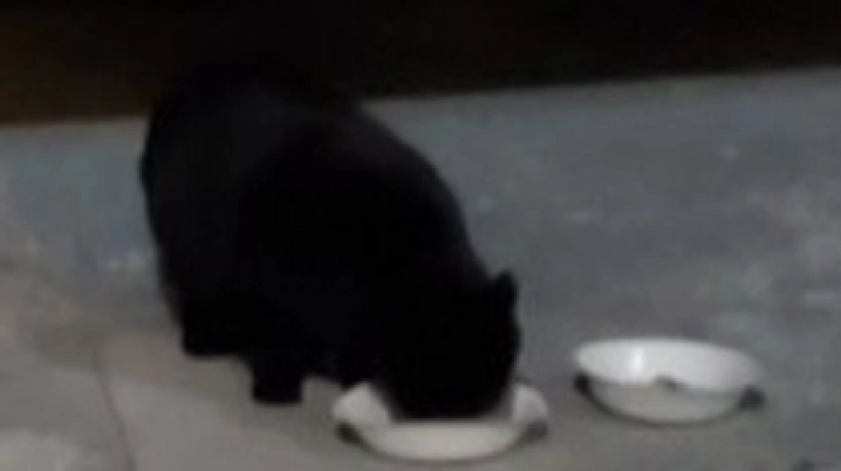 2/8と2/9 風が痛いくらい冷たかった