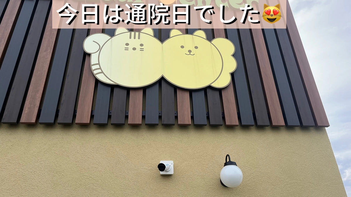今日は通院日でした😻