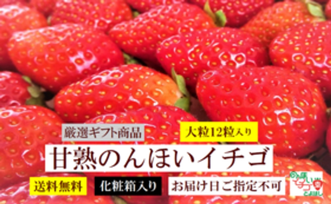 【食べて応援】甘熟のんほいイチゴ1箱