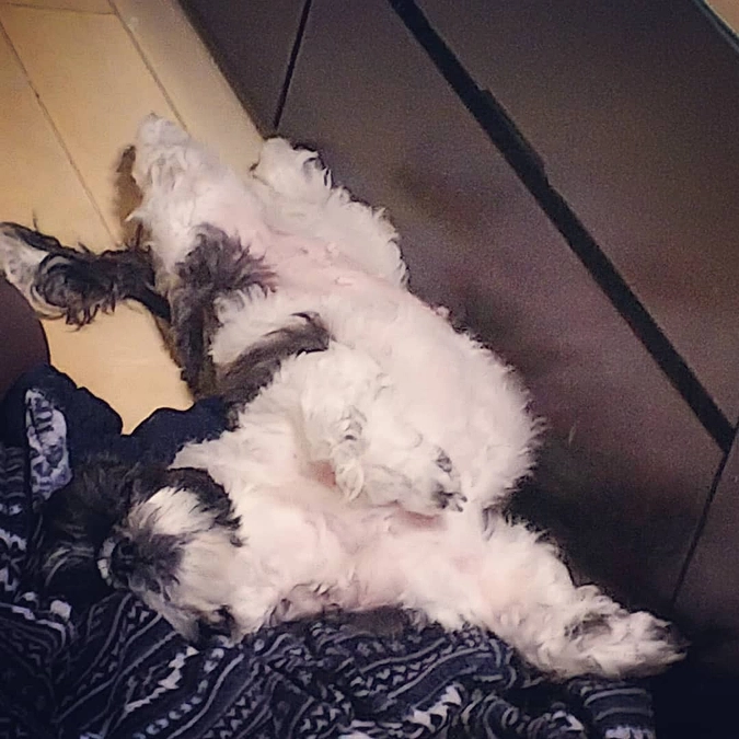 ご支援頂きました。感謝申し上げます。