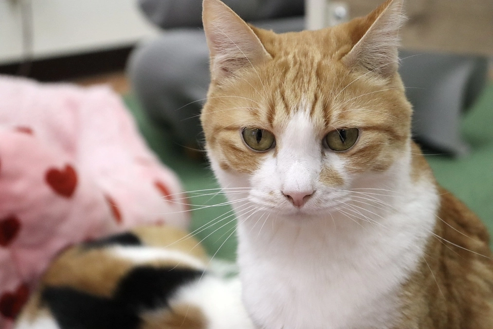 スタートしてから5日目