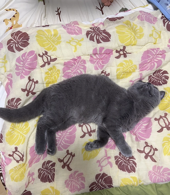 本日23時終了！