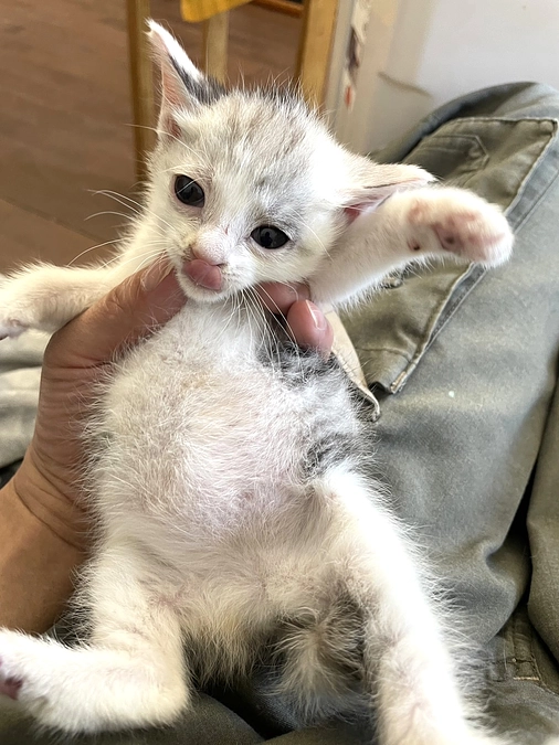 活動報告【８月】