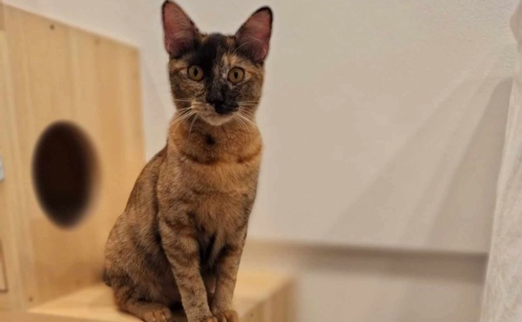 応援コース｜5,000円