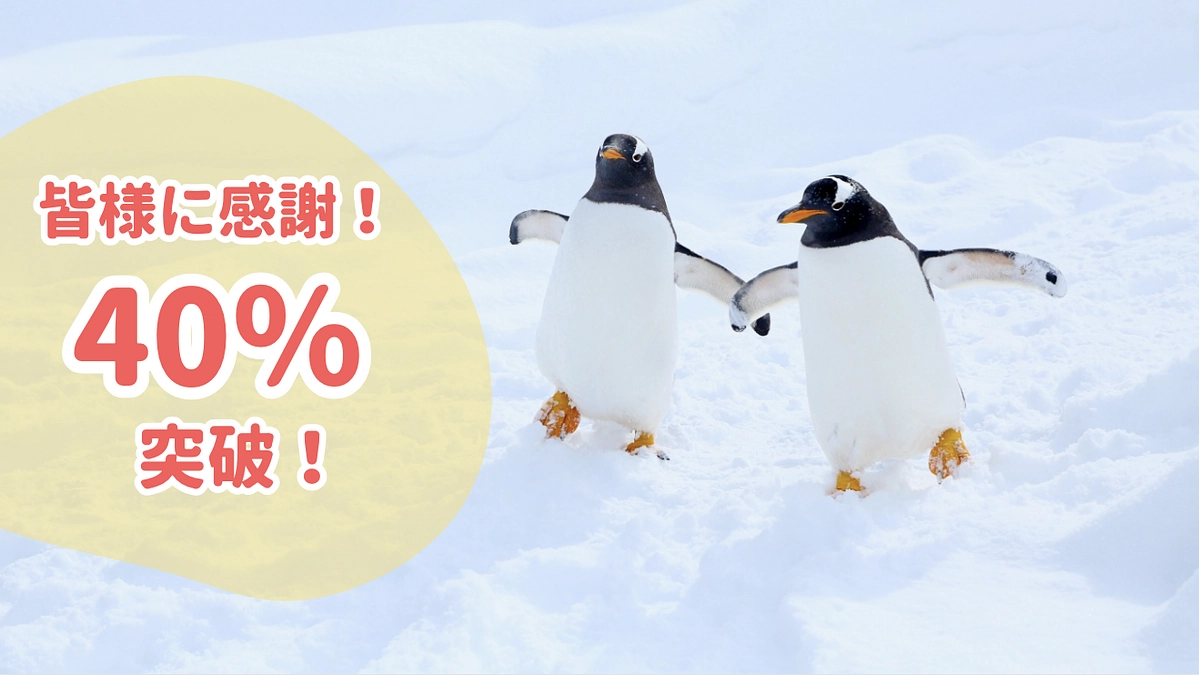 【あと7日！40%突破！】ご支援の御礼と応援コメントのご紹介第一弾！