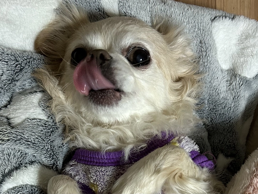 3/1病院へ。確定申告も無事終わりました。