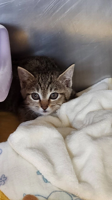 2023年11月　活動報告