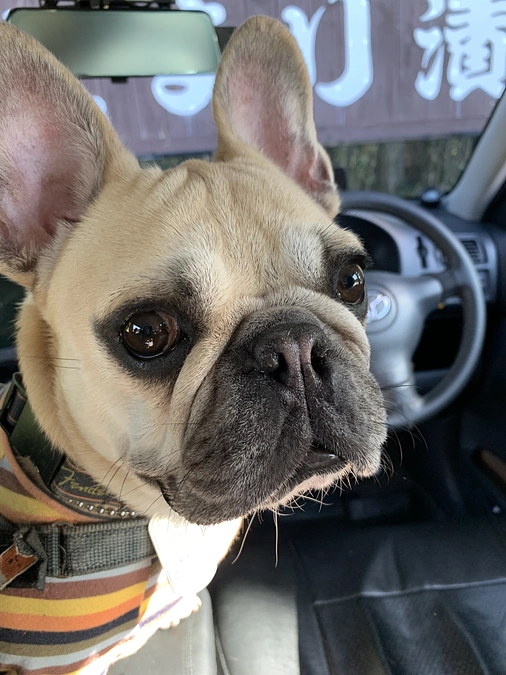 皆様の温かいご支援💖受け取りました　感謝してもしきれません