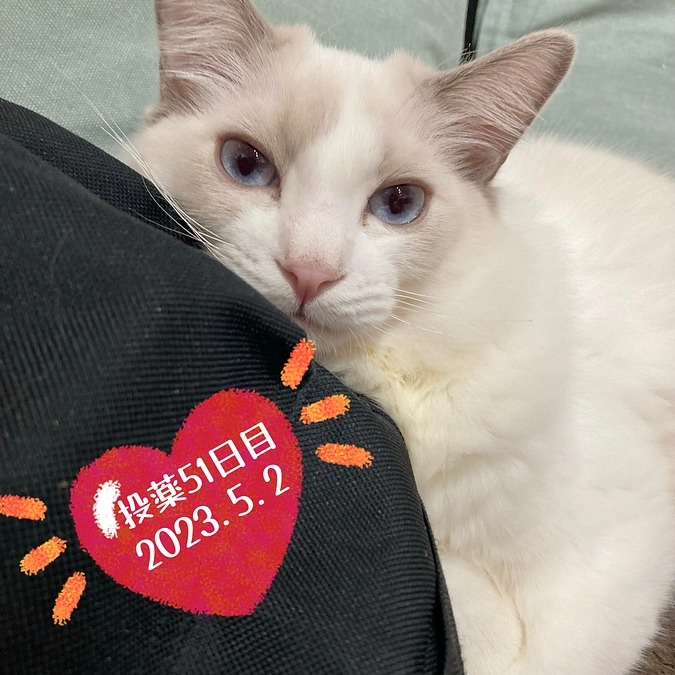 投薬５１日目(2023.5.2)&ご支援のお知らせ