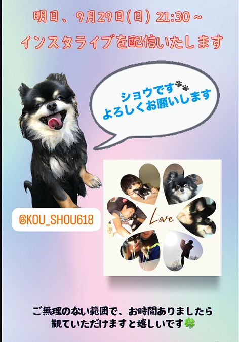 インスタライブのご案内　🐾【Instagramにて開催】